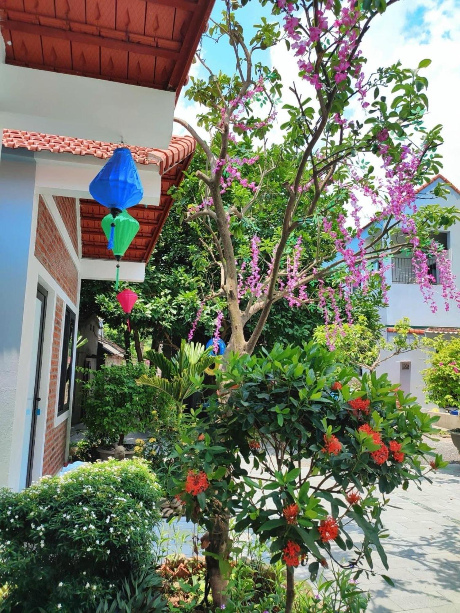 Trang An Natural Mountainside Homestay Ninh Binh Exterior photo